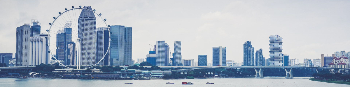 探索美國公司年度審計報告的必要性