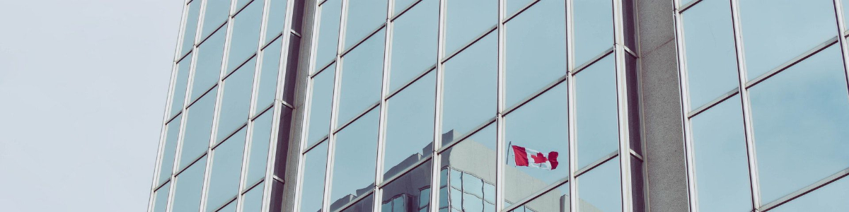 如何在美國注冊一家公司并在中國經(jīng)營